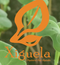 Xiguela Tienda, tienda naturista en Santa Cruz Xoxocotlán, Oaxaca