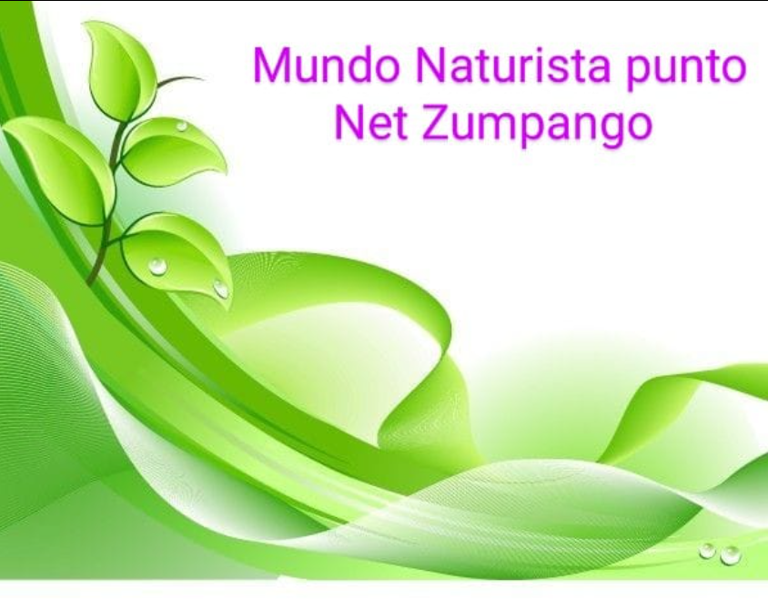 Mundo Naturista Punto Net Zumpango, tienda naturista en Benito Juárez, CDMX