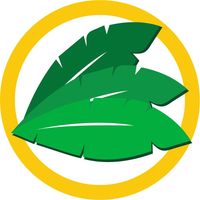 Selva Maya, agencia de viajes en Tuxtla Gutiérrez, Chiapas