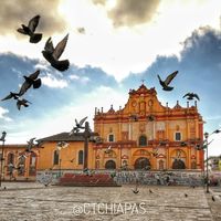 Consultora Turistica de Chiapas, agencia de viajes en Los Olvidados, Palenque