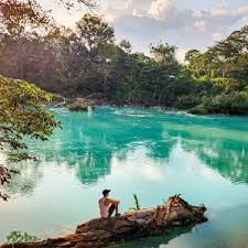 Palenque Al Maximo, agencia de viajes en Camino Real, Palenque