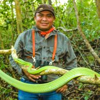 Ichi Wildlife, agencia de viajes en Campestre, Valladolid