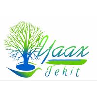 Yaax Tekit, agencia de viajes en Mérida, Yucatán