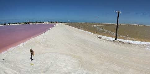 Jacky Tours Coloradas, agencia de viajes en Río Lagartos, Yucatán