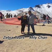 Zebra Tours, agencia de viajes en Centro, Kanasín
