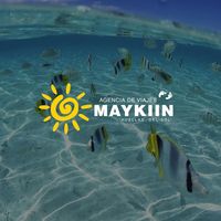 Maykiin, agencia de viajes en Lourdes, Mérida