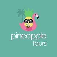 Pineapple, agencia de viajes en Mérida, Yucatán