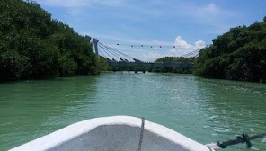 Tour All, agencia de viajes en Kaua, Yucatán