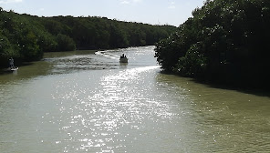San Felipe y Naturaleza, agencia de viajes en San Felipe, Yucatán
