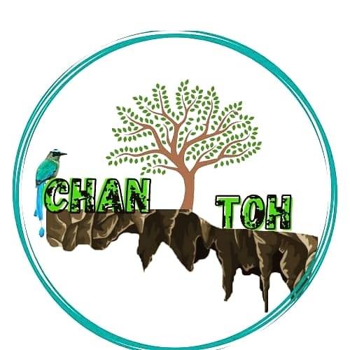 Chan Toh, agencia de viajes en Homún, Yucatán