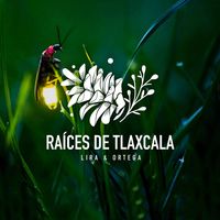 Raices de Tlaxcala, agencia de viajes en Tlaxcala, Tlaxcala